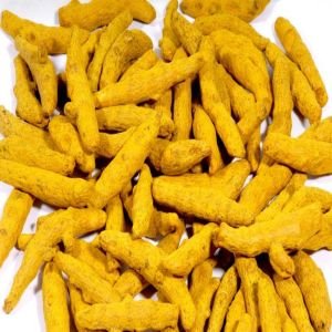 Turmeric Fingers